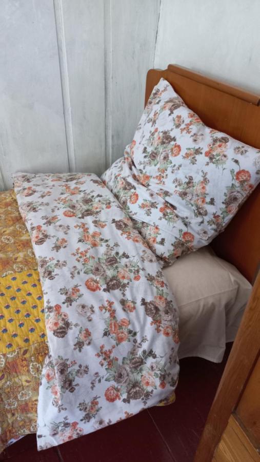 Adishi Guest House Georgia Elisabeth מראה חיצוני תמונה